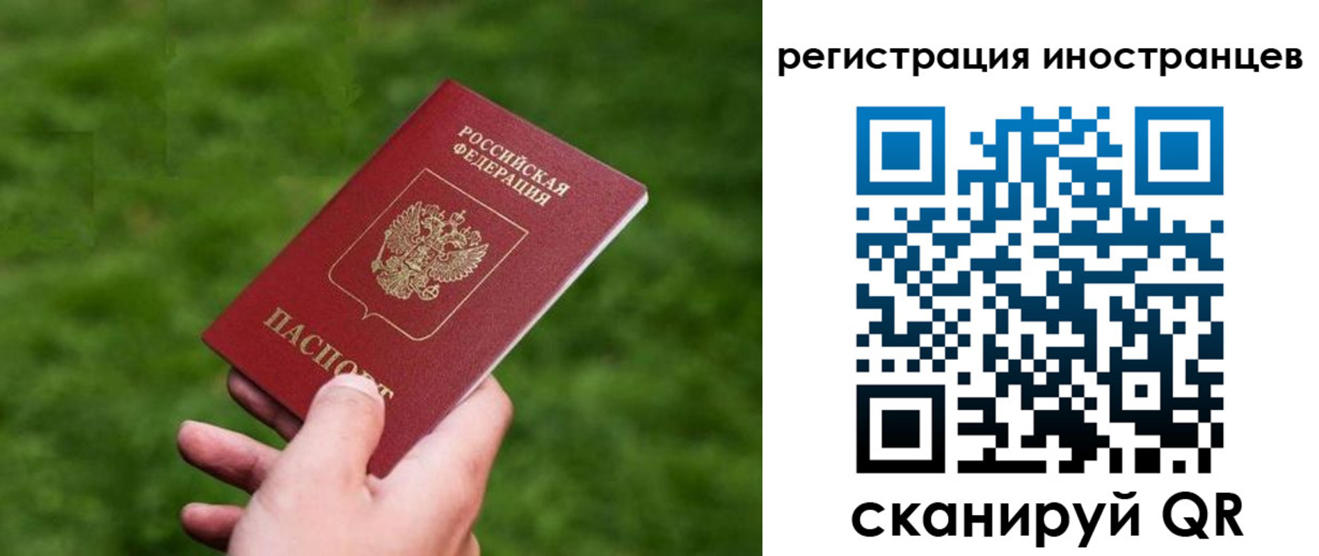 прописка ребенка в Мытищах